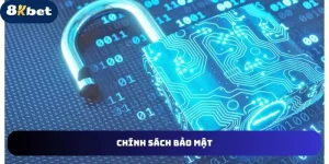 Chính sách bảo mật